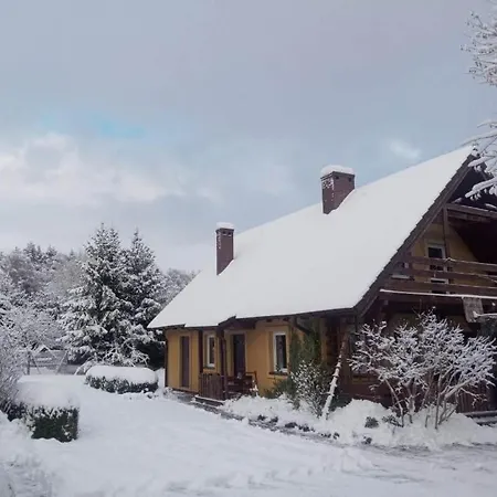 Bialy Dzik Uszyszek Stawno