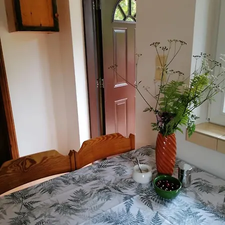 Bialy Dzik Uszyszek * Stawno