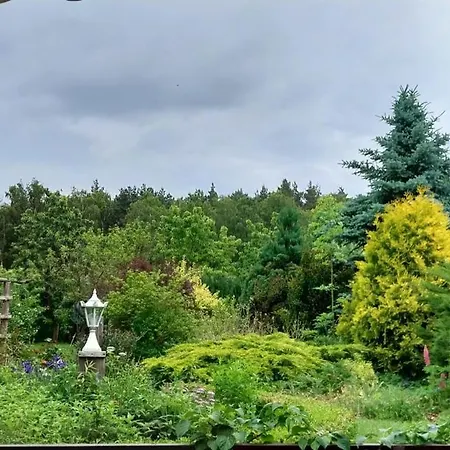 度假居 Bialy Dzik Uszyszek