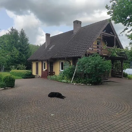 Bialy Dzik Uszyszek