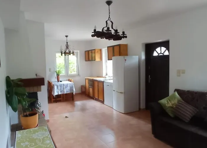 Biały Dzik Uszyszek * Stawno