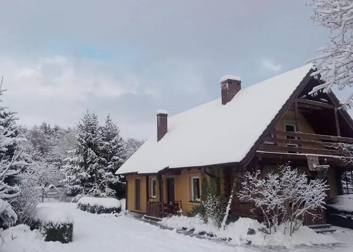 Biały Dzik Uszyszek Stawno