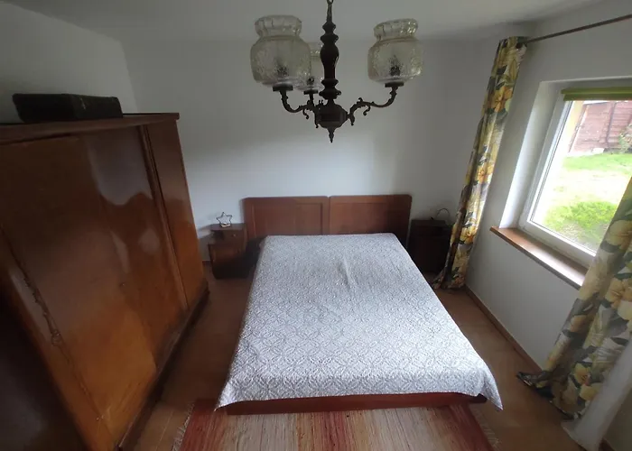 Biały Dzik Uszyszek Dom wakacyjny Stawno