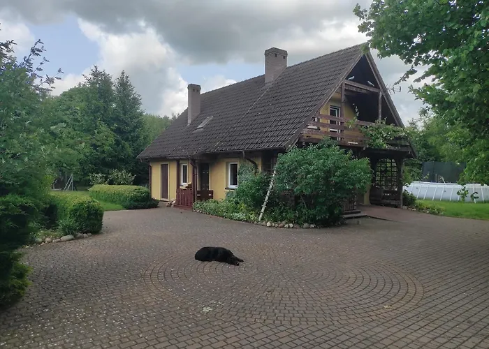 Biały Dzik Uszyszek