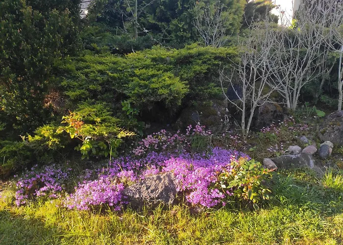 Biały Dzik Uszyszek *