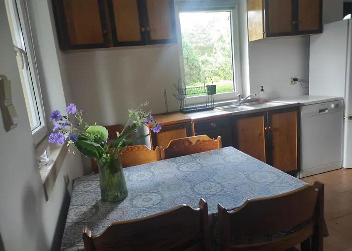 Biały Dzik Uszyszek Dom wakacyjny Stawno